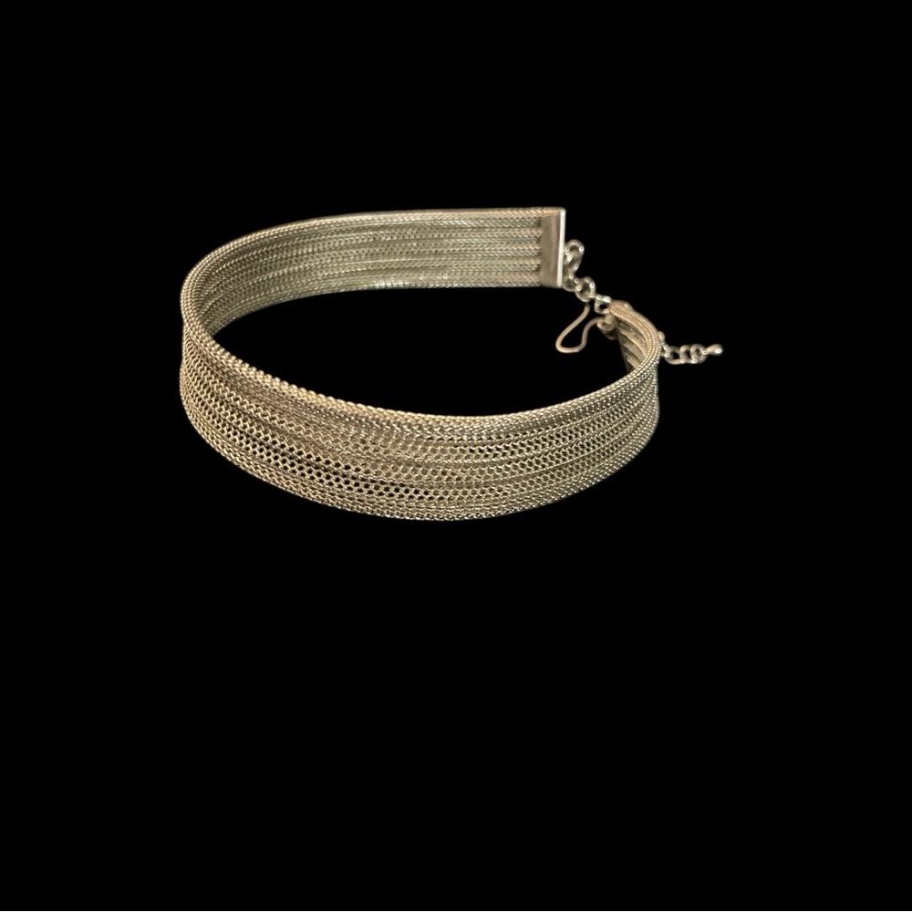Express Silver Mesh Choker Necklace